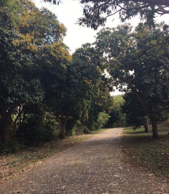 El Carrizal Aguas Termales, Hotel & Spa - Housity