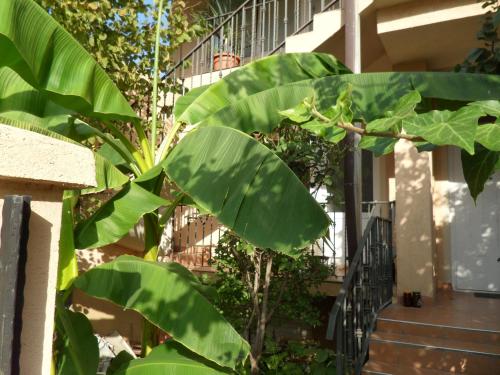 公寓 - 地面楼层