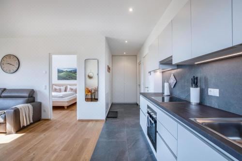 高级一卧室带阳台公寓