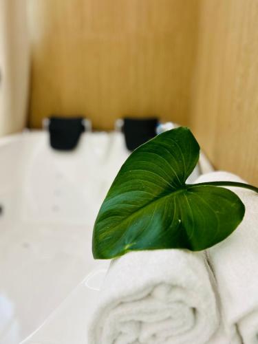 Superior Double Room With Indoor SPA Bath