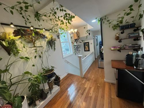 双人房（带独立浴室）