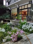 Hotel Orekle Hotels in 