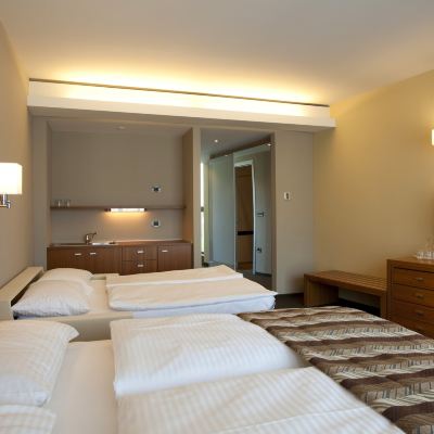 Family Room Bohinj Eco Hotel Promo Code