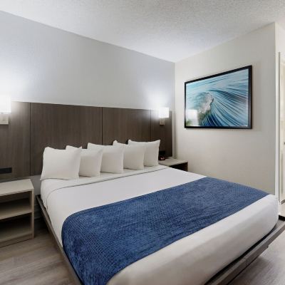 Premium King Suite With Sofa Bed Avanti Resort Orlando Promo Code