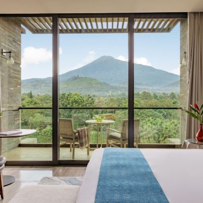 Red Level Deluxe Mount Meru View Gran Melia Arusha Promo Code