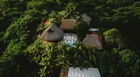 Punta Mango Villas Hotels in 