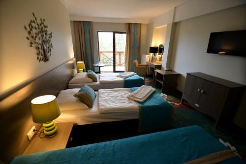 带阳台的三人房