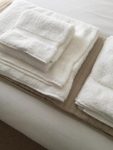 带海景的奢华特大床房