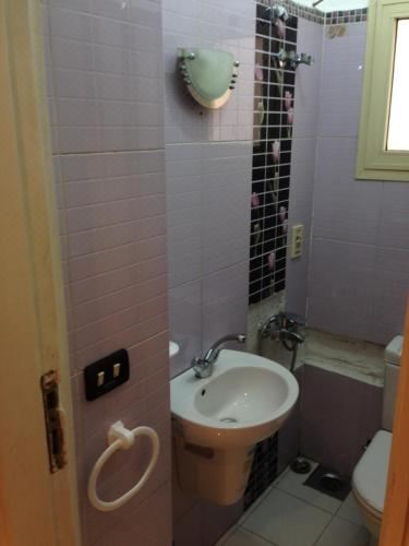 Furnished Flat in Cairo Zero One Zero One Zero Six Seven Nine Two Four Four One-Bedroom Apartment