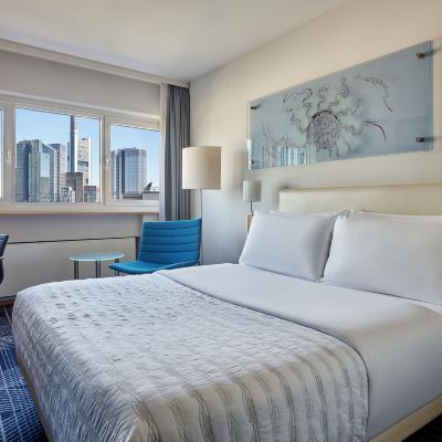 Superior Queen Room with Skyline View