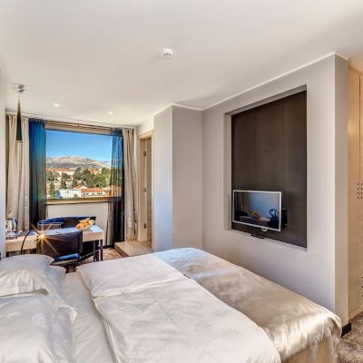 Superior Double Room with City View