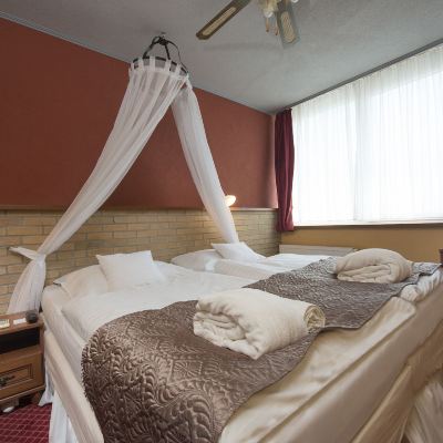 Standard Double Room Hotel Therma Promo Code