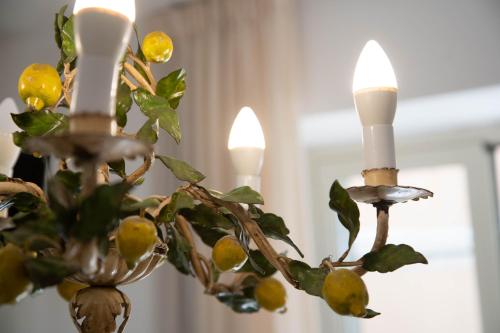 公寓 - 地面楼层