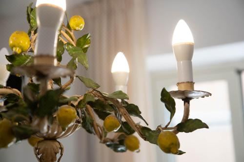 公寓 - 地面楼层