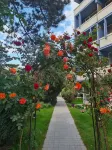 Hotel Sunquest Hotels in 