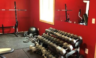 a well - equipped gym with a variety of exercise equipment , including dumbbells , weights , and a treadmill at Rays Place Inn