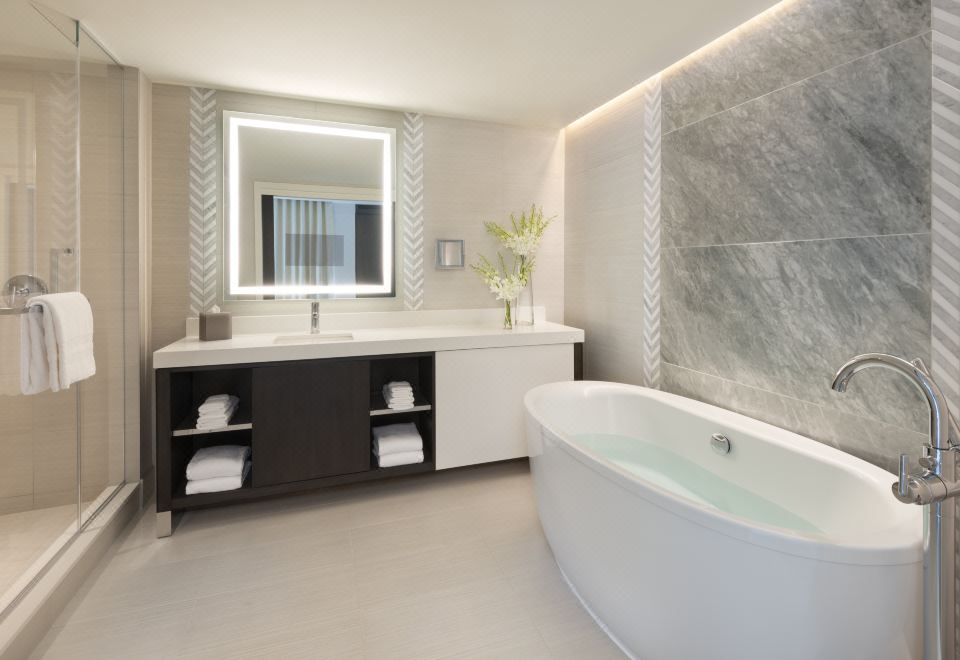 河景一卧室套房 - 帶陽台