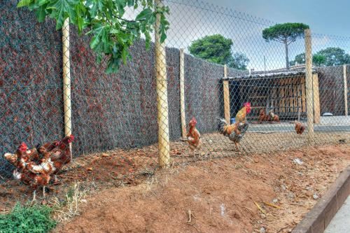 两卧室公寓 - 带露台