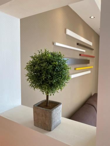 海景一室公寓 - 带阳台