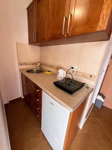 一室房（带阳台）