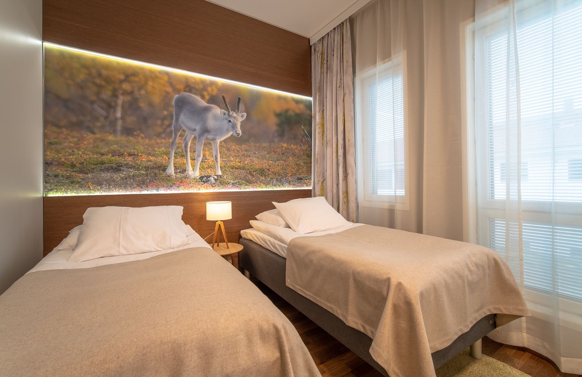 豪华新翼双床房