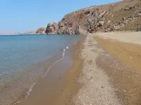 Amigdalies