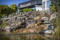 Seacliffe Inn