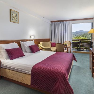Superior Double Room Lake Side With Balcony Hotel Jezero Promo Code