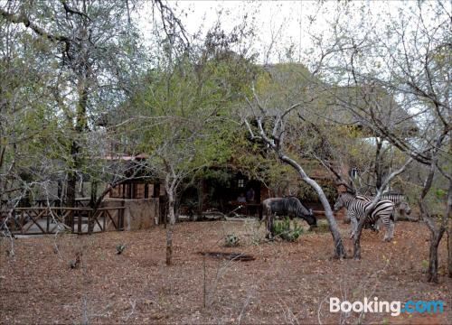 别墅（带独立泳池）