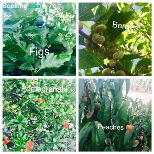 Seaside Studios Arkasa Karpathos Studio with Sea View