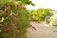 Ellopia Point Hotel Hotels in 