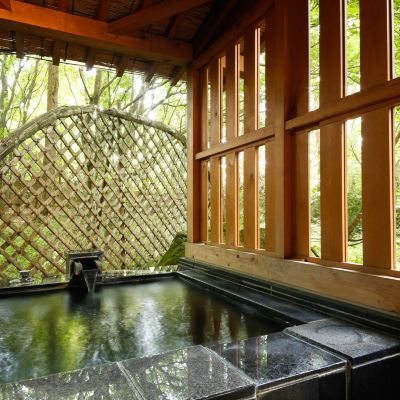 New Wing Deluxe Japanese-Style Room with Private Open-Air Bath