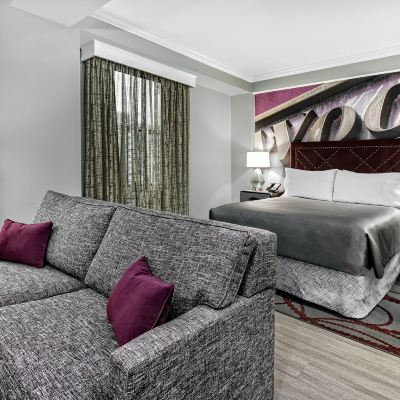 大床套房 - 帶梳化床 達拉斯市區英迪格酒店優惠