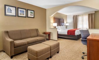 Comfort Inn & Suites Macon North I-75