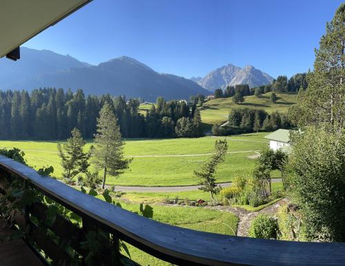 高级两卧室公寓