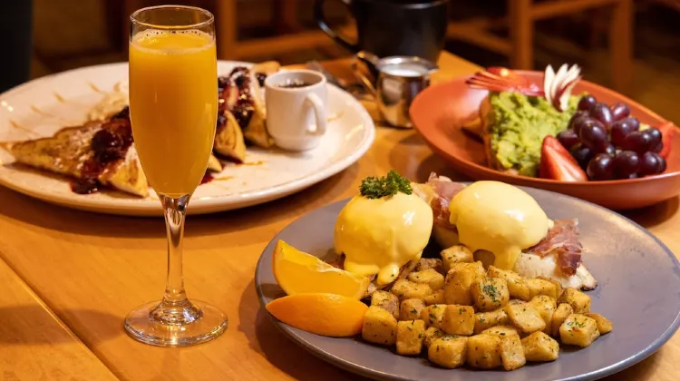 バンフ ターミガン イン 食事・レストラン