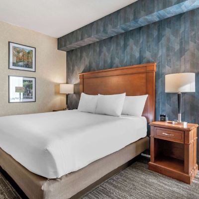 Deluxe King Room Drury Inn & Suites Valdosta Promo Code