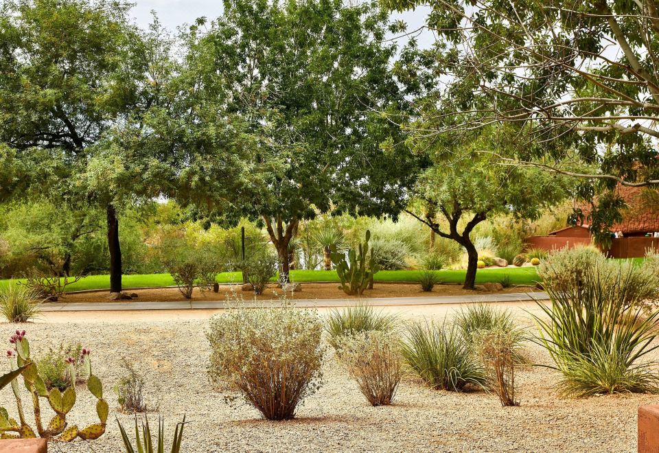 度假村景豪华两张双人床房