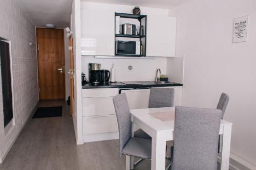 带露台一室公寓