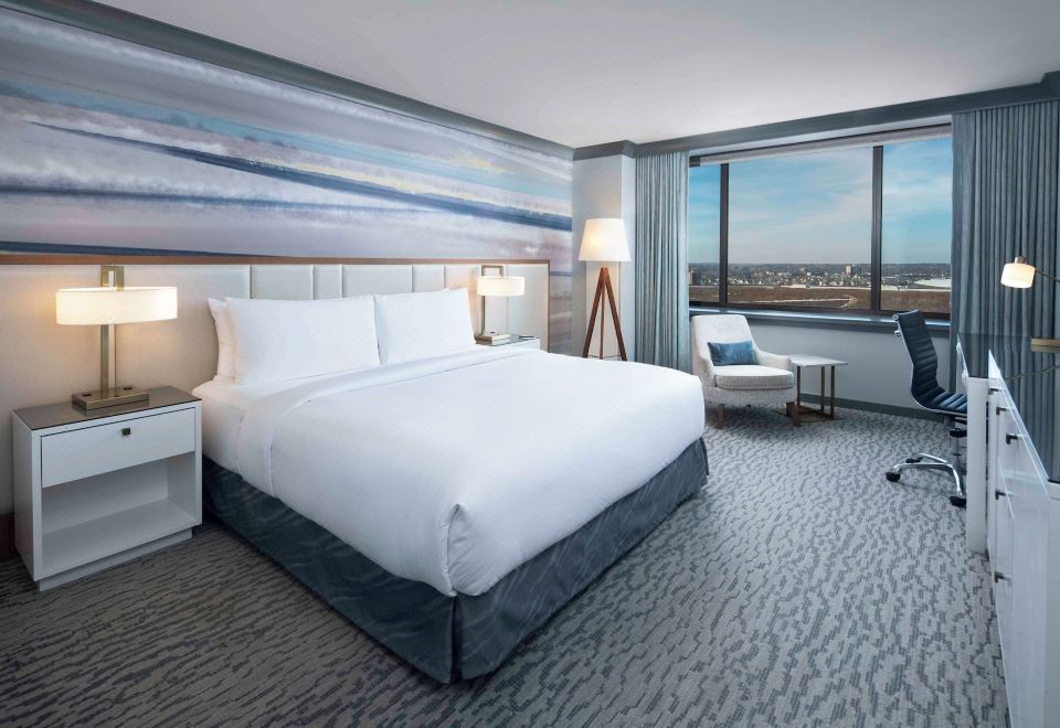 高级一卧室特大床套房