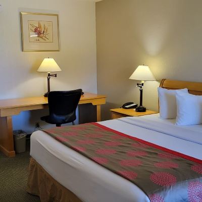 Deluxe King Room - Non-Smoking Ramada by Wyndham & Suites Warner Robins Promo Code