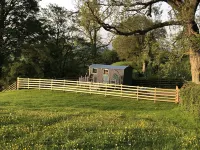 The Peacock Shepherds Hut at Hafoty Boeth