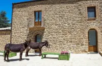 La Quercia e l'Asino