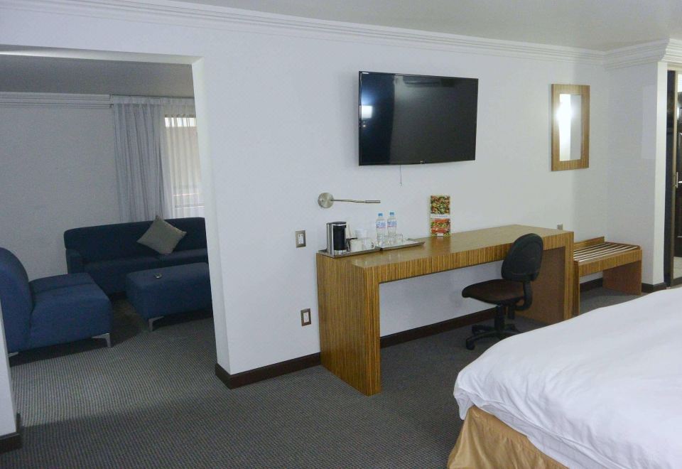 开间套房， 1 张特大床， 无烟房， 花园