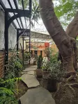Casa del Árbol Hostel Xochimilco Hotels in 
