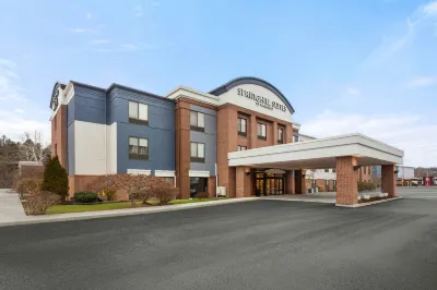 摩根敦SpringHill Suites 萬豪酒店 酒店