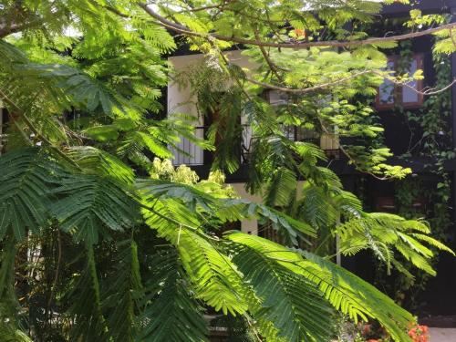 特大床房（带阳台）