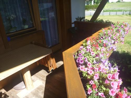 一卧室公寓（带阳台）