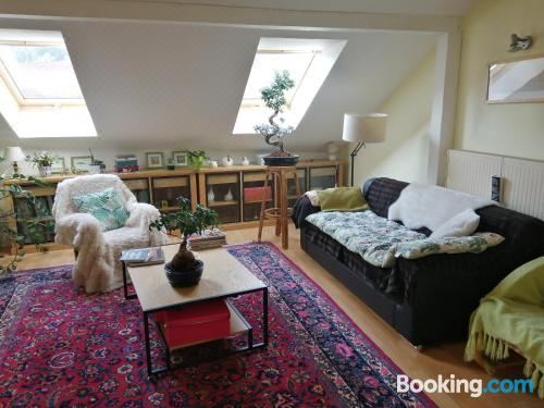 带山景的双人间