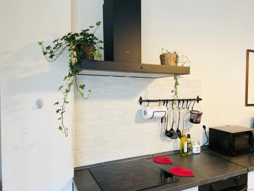 双人房（带独立浴室）